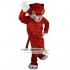 Tiger Mascot Costume Adult