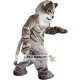 Grey Cat Mascot Costume Adult Grey Cat Mascot Costume Adult