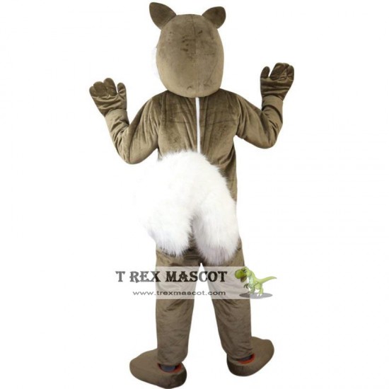 Gray Squirrel Mascot Costume Adult Gray Squirrel Mascot Costume Adult