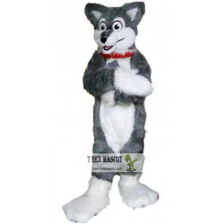 Grey Wolf Mascot Costume