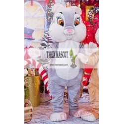 Bunny / Rabbit Mascot Costume for Adult
