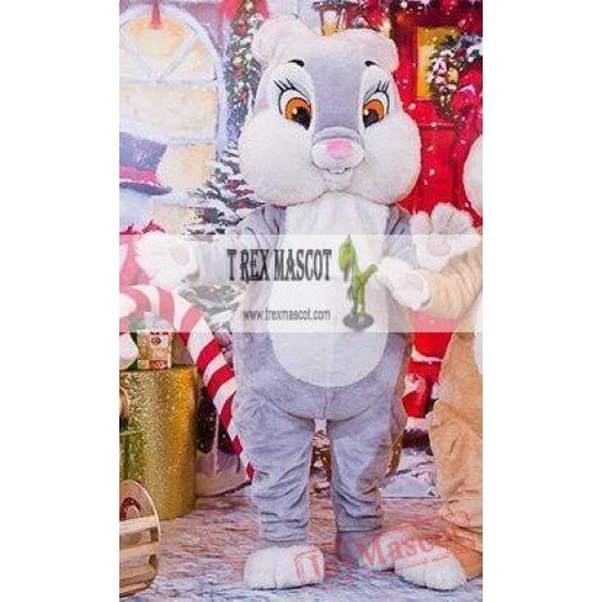 Bunny / Rabbit Mascot Costume for Adult