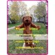 Plush Dog Mascot Costume Plush Dog Mascot Costume