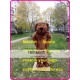 Plush Dog Mascot Costume Plush Dog Mascot Costume