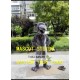 Grey Rat Mouce Mascot Costume Grey Rat Mouce Mascot Costume