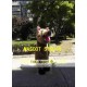 Pumbaa Mascot Costume Cartoon Character Pumbaa Mascot Costume Cartoon Character