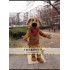 Brown Dog Mascot Costume
