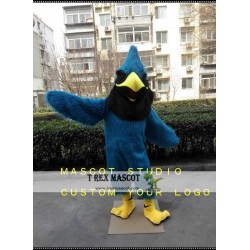Blue Jay Mascot Costume Bird