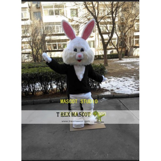 Coat Rabbit Mascot Costume Bunny