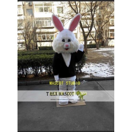 Coat Rabbit Mascot Costume Bunny