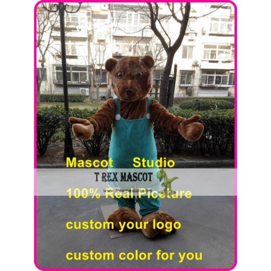 Bear Mascot Costume