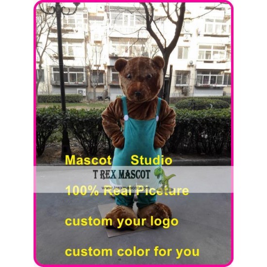 Bear Mascot Costume