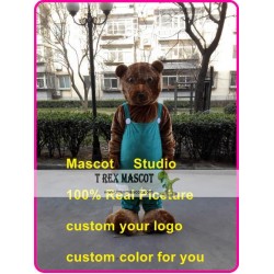 Bear Mascot Costume