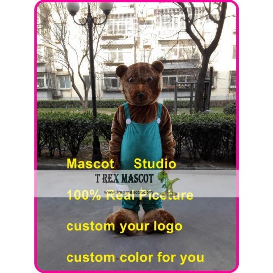 Bear Mascot Costume