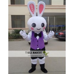 Cartoon Plush Rabbit Mascot Costume