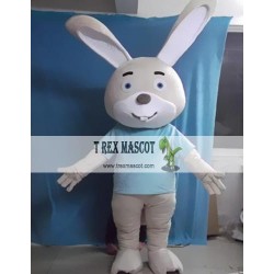 Cartoon Rabbit Boy Mascot Costume