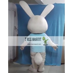 Cartoon Rabbit Boy Mascot Costume