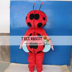 Insect Ladybug Mascot Costume For Adullt & Kids