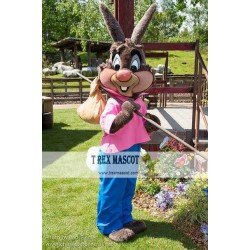 Rabbit Mascot Costume for Adult