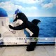 Blue Gray Dolphin Cartoon Mascot Costume Blue Gray Dolphin Cartoon Mascot Costume