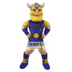 Viking Mascot Costume