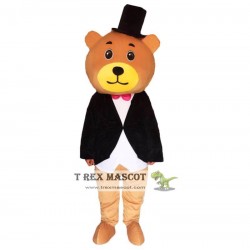 Cartoon Bear Mascot Costumes