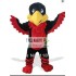 Hawk Mascot costume