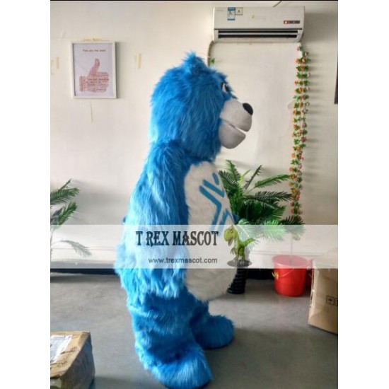 Actual Picture Blue Bear Mascot Costumes Actual Picture Blue Bear Mascot Costumes