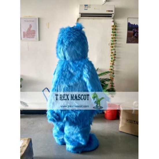 Actual Picture Blue Bear Mascot Costumes Actual Picture Blue Bear Mascot Costumes