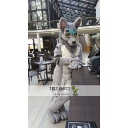 Wolf Realistic Fursuit Animal Mascot Costumes for Adults
