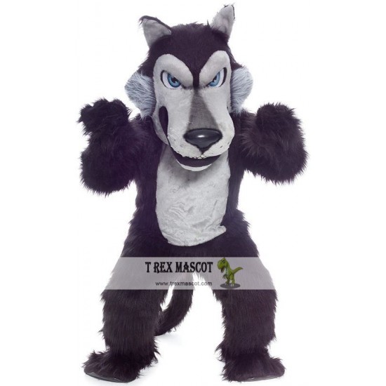Black Wolf Mascot Costume Black Wolf Mascot Costume