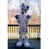 Wolf Dog Realistic Fursuit Animal Mascot Costumes for Adults