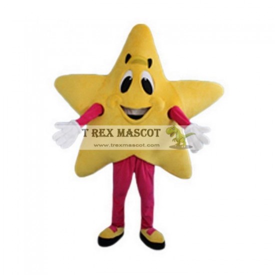 Adult Yellow Five-pointed Star Mascot Costume