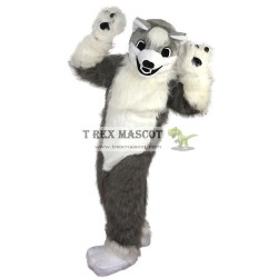 Grey Wolf Husky Mascot Costumes