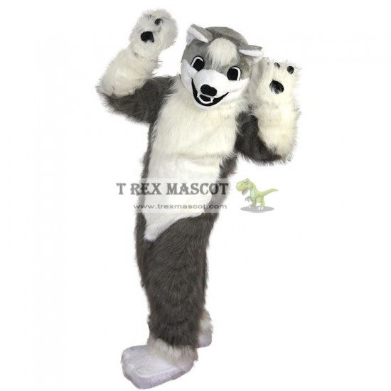 Grey Wolf Husky Mascot Costumes Grey Wolf Husky Mascot Costumes