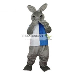 Gray Cartoon Rabbit Animal Mascot Costumes