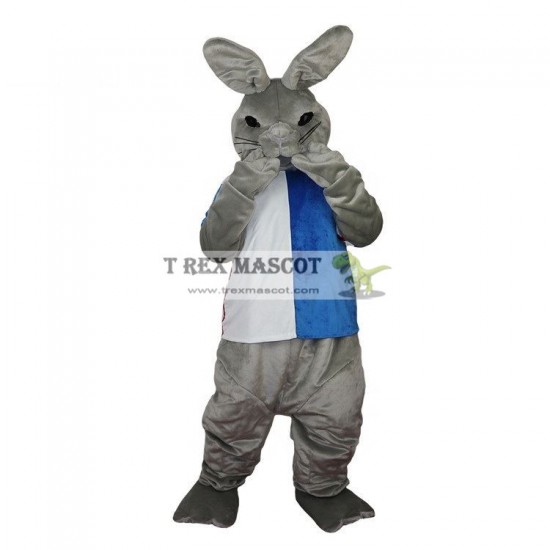 Gray Cartoon Rabbit Animal Mascot Costumes Gray Cartoon Rabbit Animal Mascot Costumes