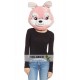 Bunny Plush Helmet Mascot Head Bunny Plush Helmet Mascot Head