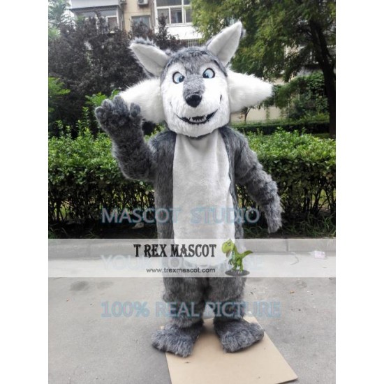 Big Grey Wolf Mascot Costume Big Grey Wolf Mascot Costume