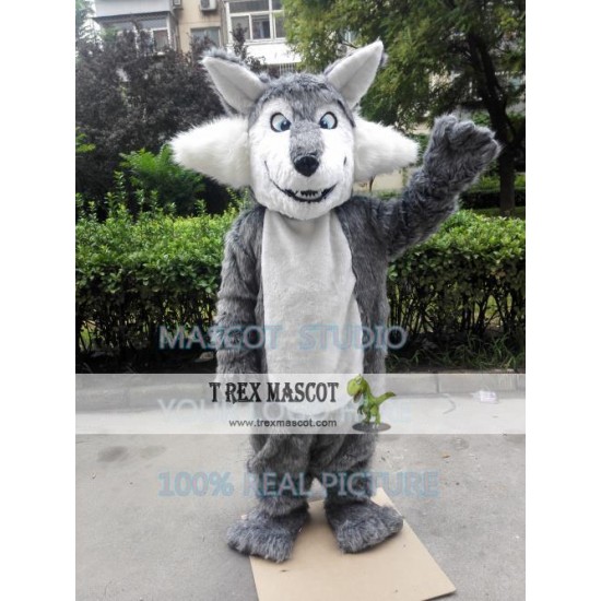 Big Grey Wolf Mascot Costume Big Grey Wolf Mascot Costume