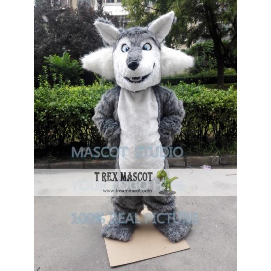 Big Grey Wolf Mascot Costume Big Grey Wolf Mascot Costume