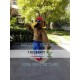 Brown Eagle Mascot Costume Brown Eagle Mascot Costume