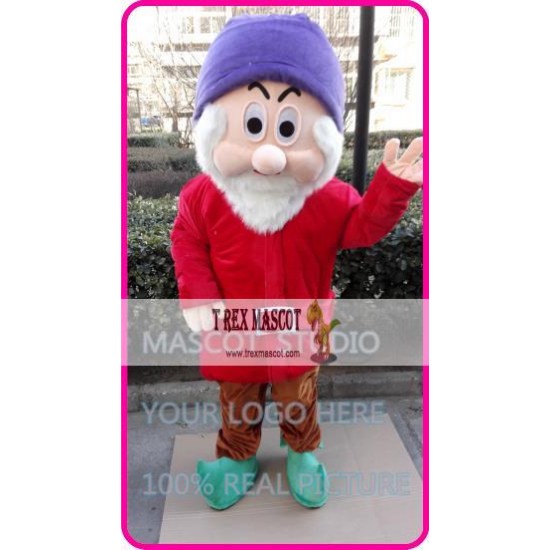 Mascot Red Dwarf Mascot Costume Mascot Red Dwarf Mascot Costume