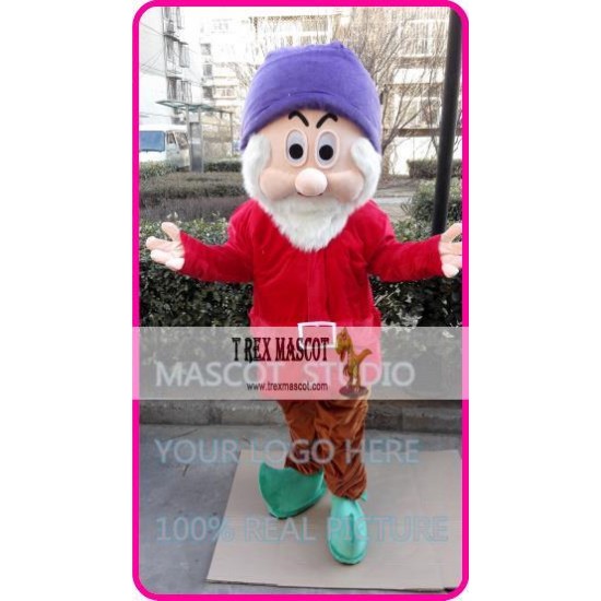 Mascot Red Dwarf Mascot Costume Mascot Red Dwarf Mascot Costume