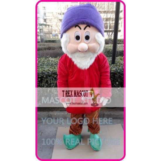 Mascot Red Dwarf Mascot Costume Mascot Red Dwarf Mascot Costume