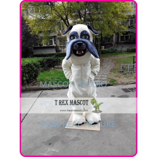Bulldog Mascot Bull Dog Costume Bulldog Mascot Bull Dog Costume