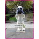 Bulldog Mascot Bull Dog Costume Bulldog Mascot Bull Dog Costume