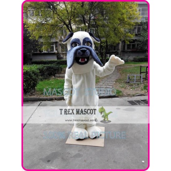 Bulldog Mascot Bull Dog Costume Bulldog Mascot Bull Dog Costume