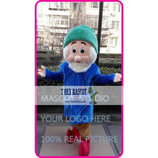 Mascot Blue Dwarf Mascot Costume Mascot Blue Dwarf Mascot Costume