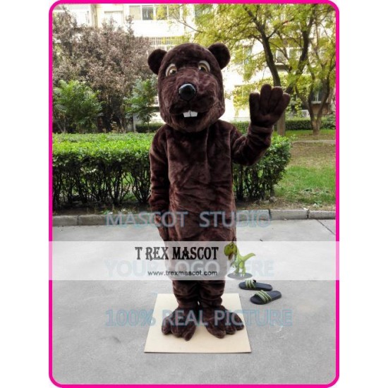 Beaver Sinocastor Mascot Costume Beaver Sinocastor Mascot Costume